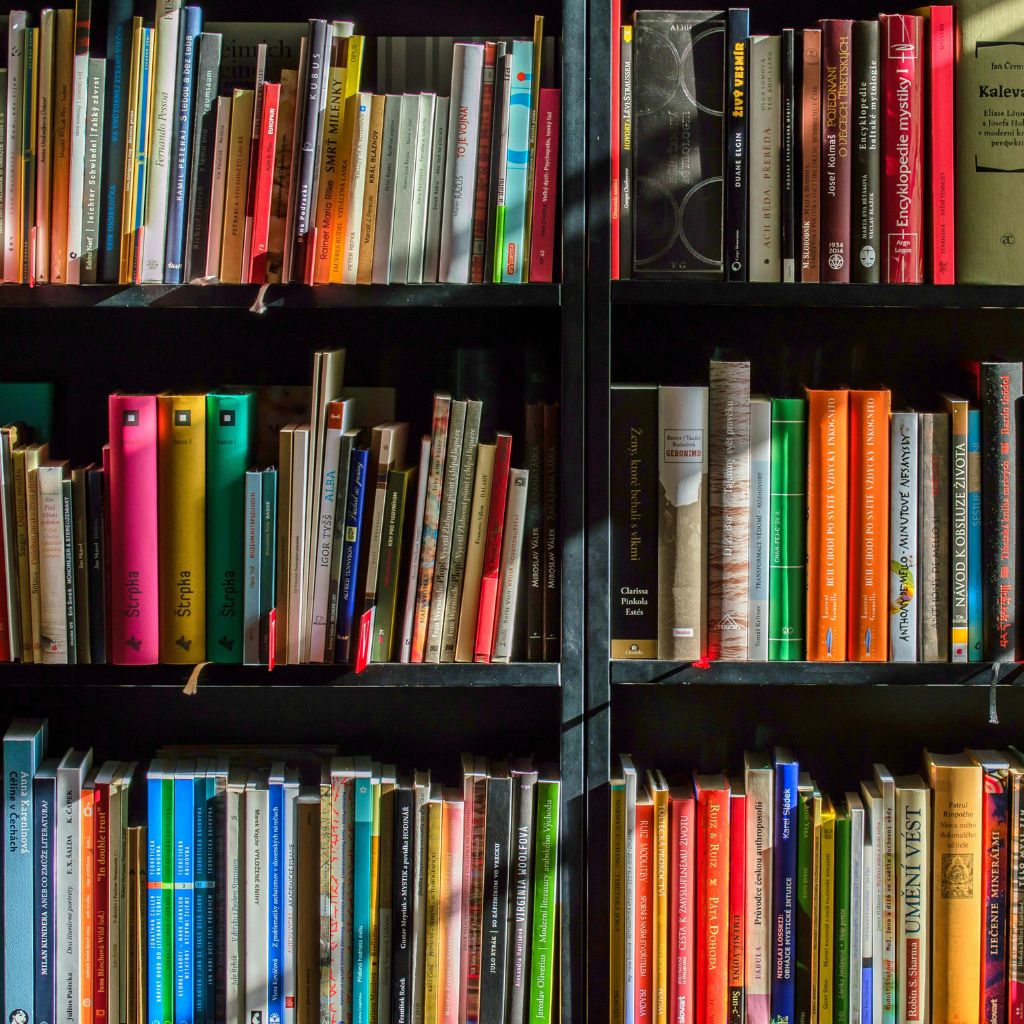 Book rack with books
